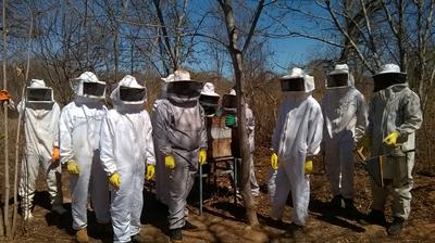 Criação de abelhas Apis mellífera integrada ao manejo prático e conservacionista na associação comunitária de Olhos D’Água, no município Cônego Marinho-MG