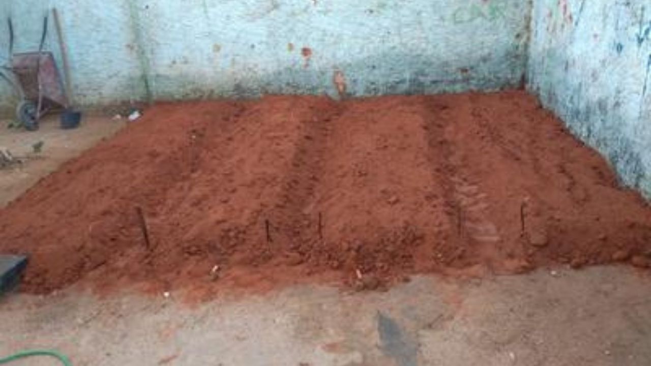 Implantação, cultivo e manejo de canteiros de hortaliças e plantas medicinais de produção orgânica na Escola Santa Rita em Januária-MG