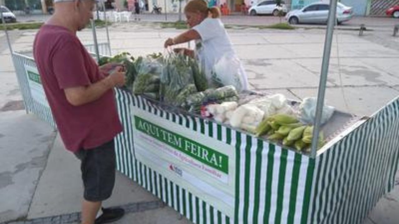 Levantamento dos custos de produção das espécies olerícolas, comercializadas na feira agroecológica de Januária – MG