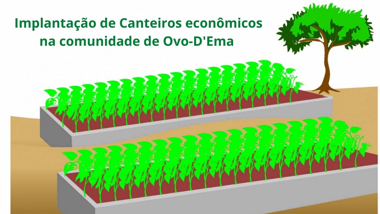 Implantação de Canteiros econômicos na comunidade de Ovo-D’Ema