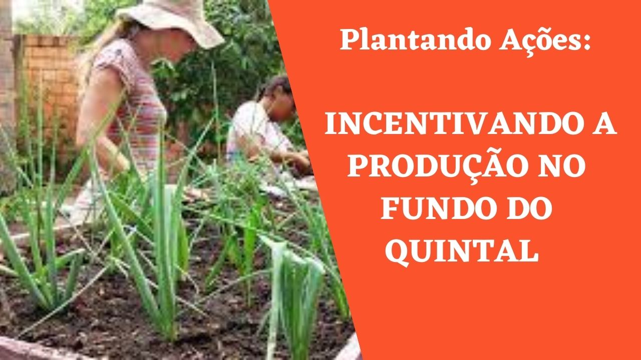 Plantando Ações: Incentivando a Produção no Fundo do Quintal