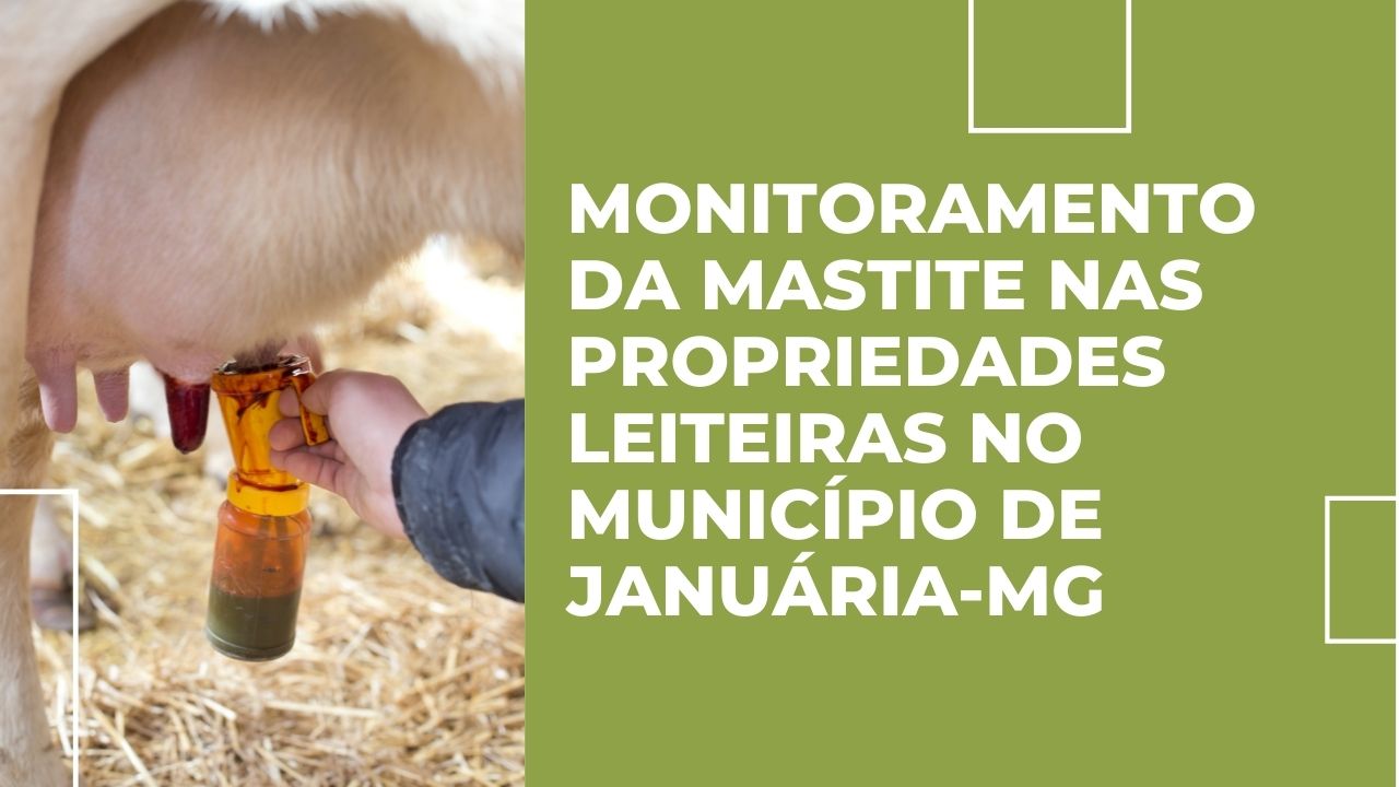 Monitoramento da Mastite nas propriedades leiteiras no município de Januária-MG