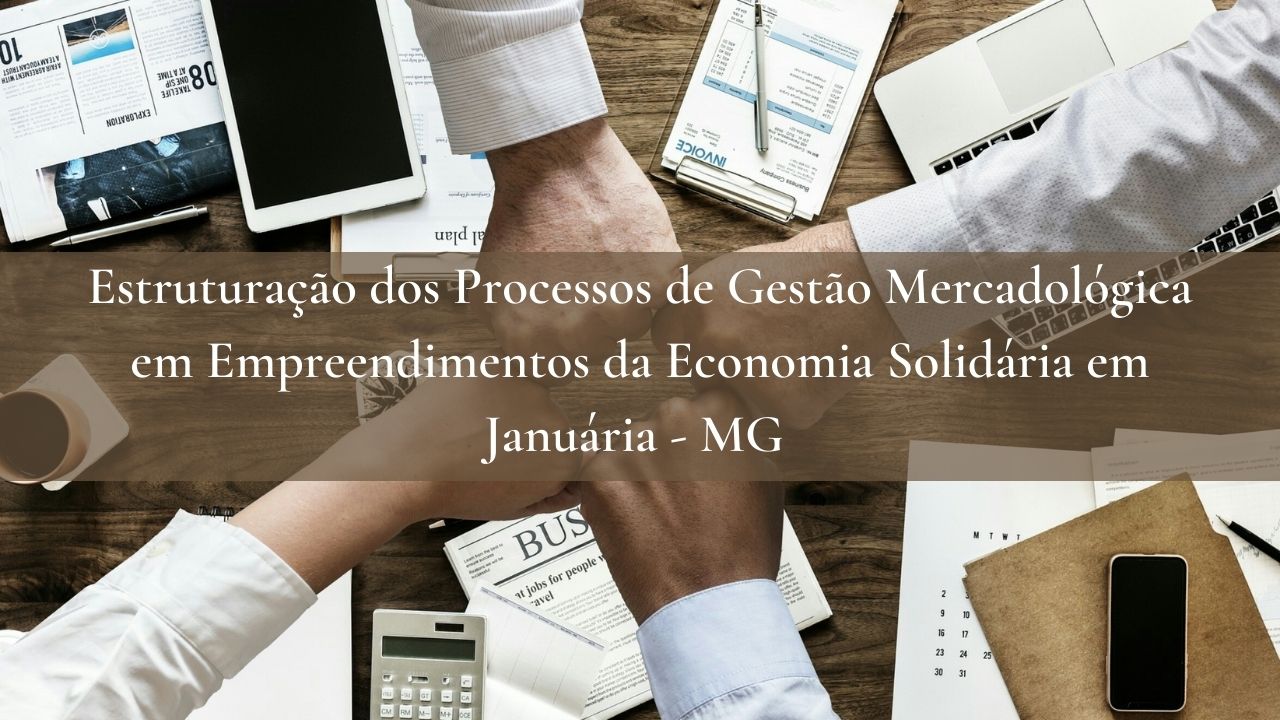 Estruturação dos Processos de Gestão Mercadológica em Empreendimentos da Economia Solidária em Januária – MG