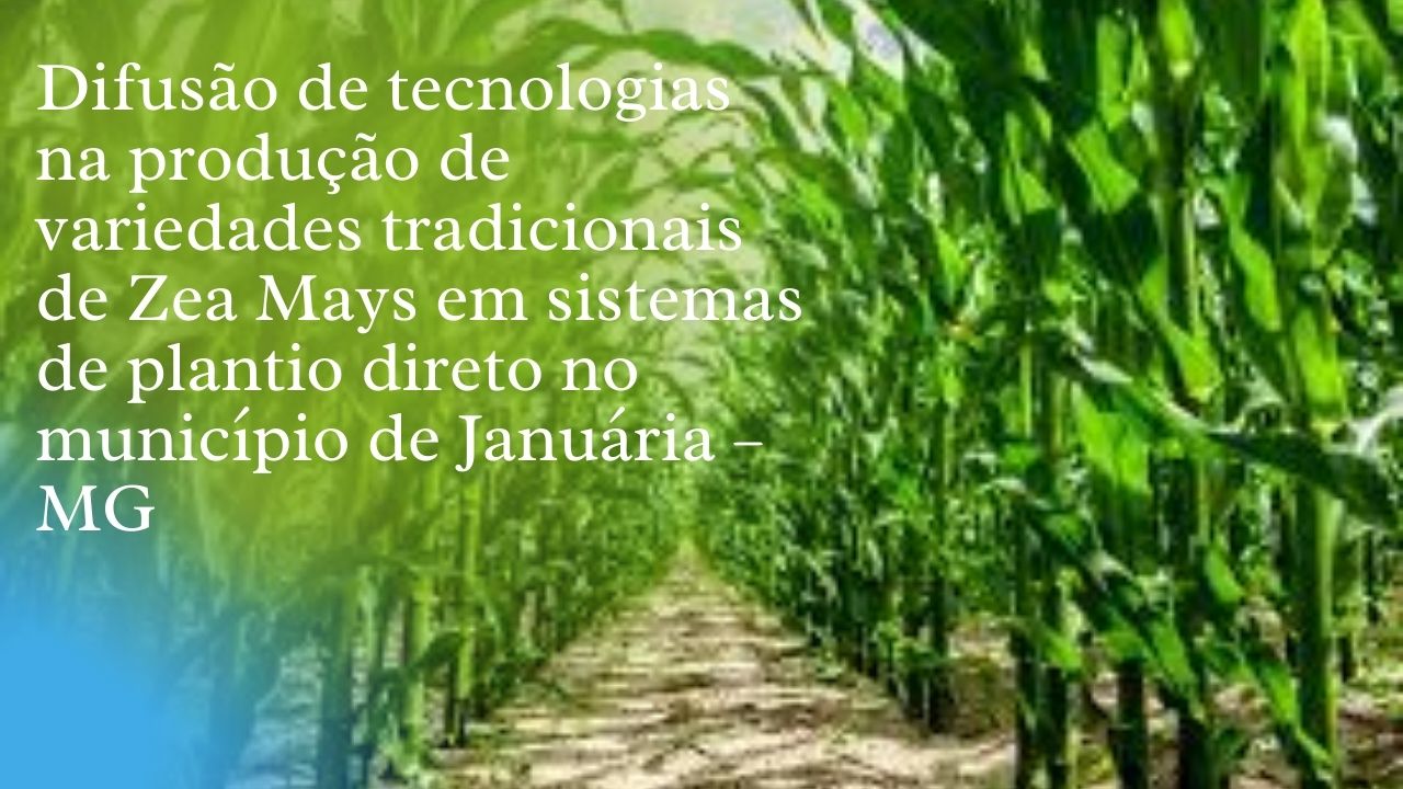 Difusão de tecnologias  na produção de variedades tradicionais de Zea Mays em sistemas de plantio direto no município de Januária – MG