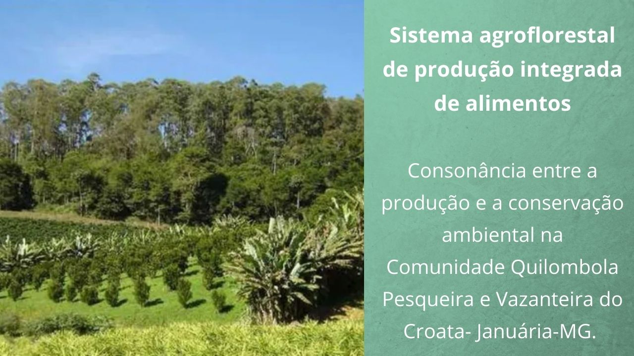 Sistema agroflorestal de produção integrada de alimentos