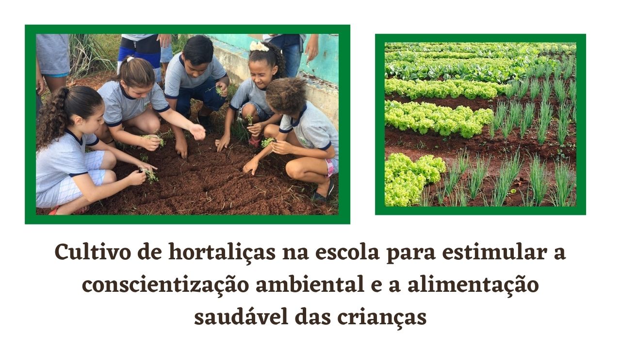 Cultivo de hortaliças na escola para estimular a conscientização ambiental e a alimentação saudável das crianças