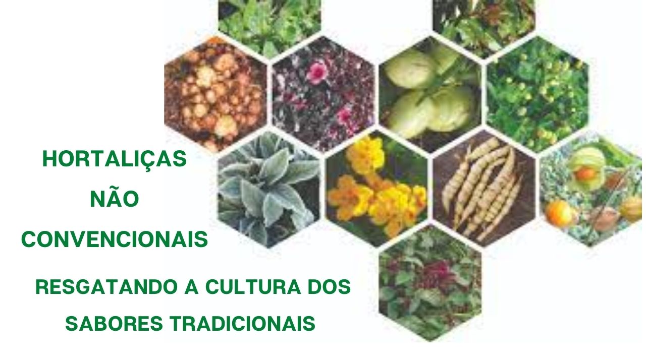 Hortaliças não convencionais: Resgatando a cultura dos sabores tradicionais
