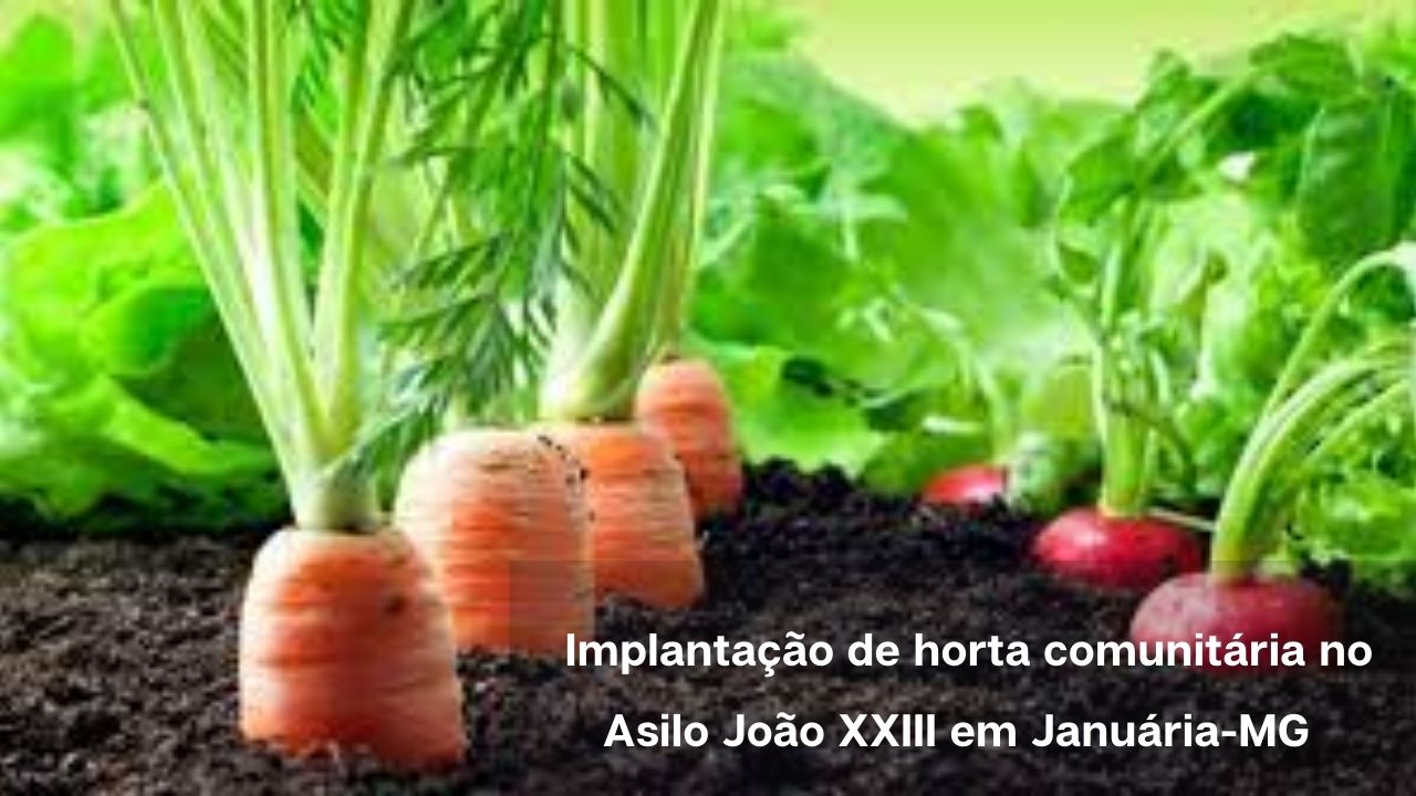 Implantação de horta comunitária no Asilo João XXIII em Januária-MG