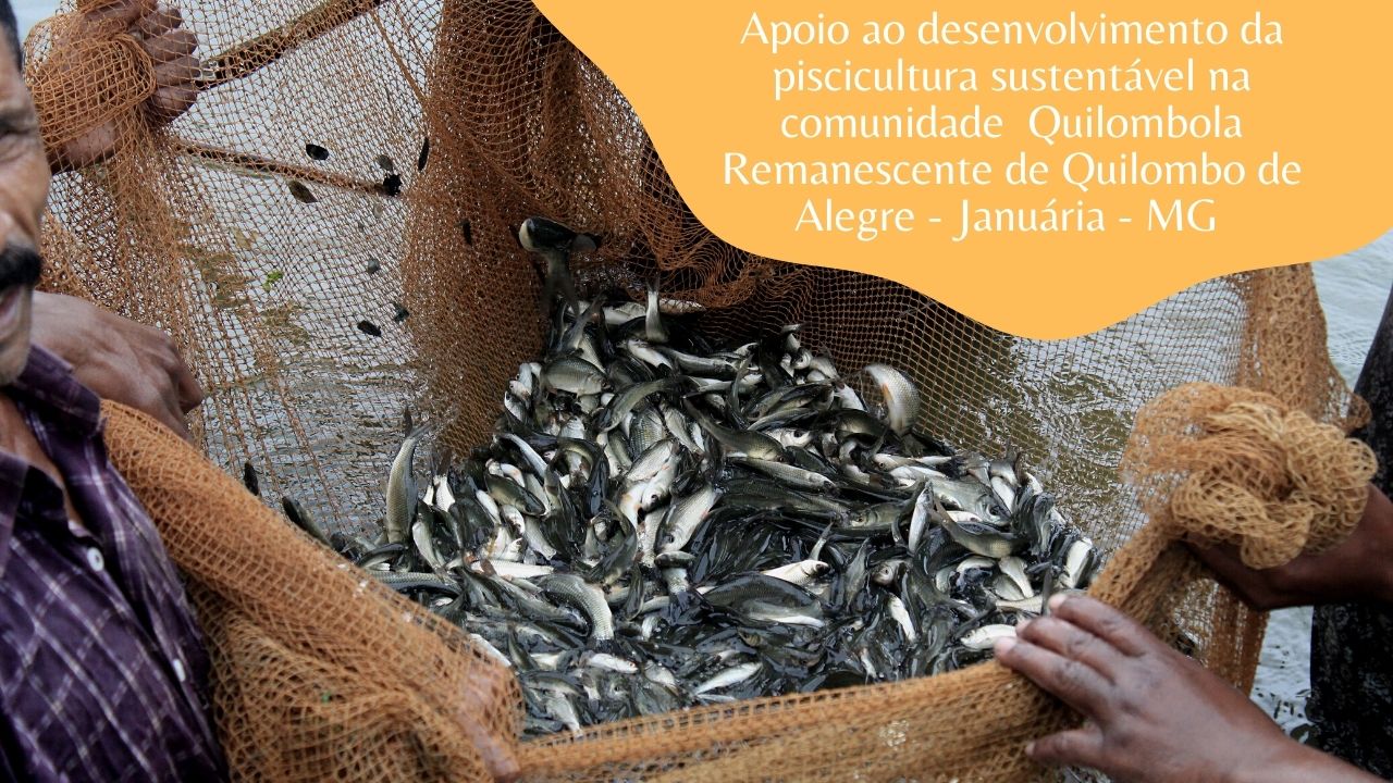 Apoio ao Desenvolvimento da piscicultura sustentável