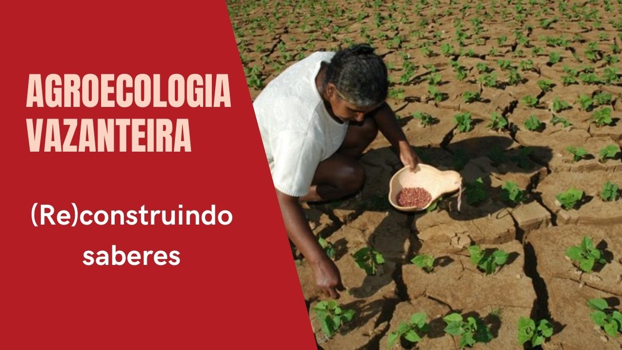Agroecologia Vazanteira: (Re)construindo saberes