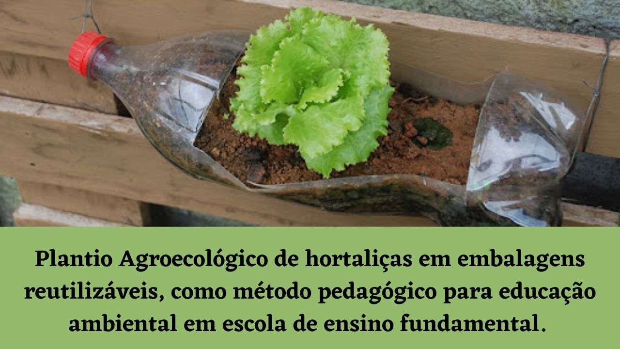 Plantio Agroecológico de hortaliças em embalagens reutilizáveis