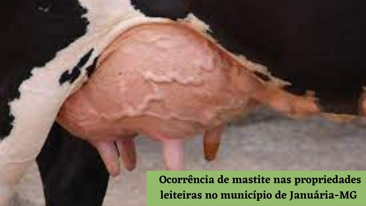 Ocorrência de mastite nas propriedades leiteiras no município de Januária-MG