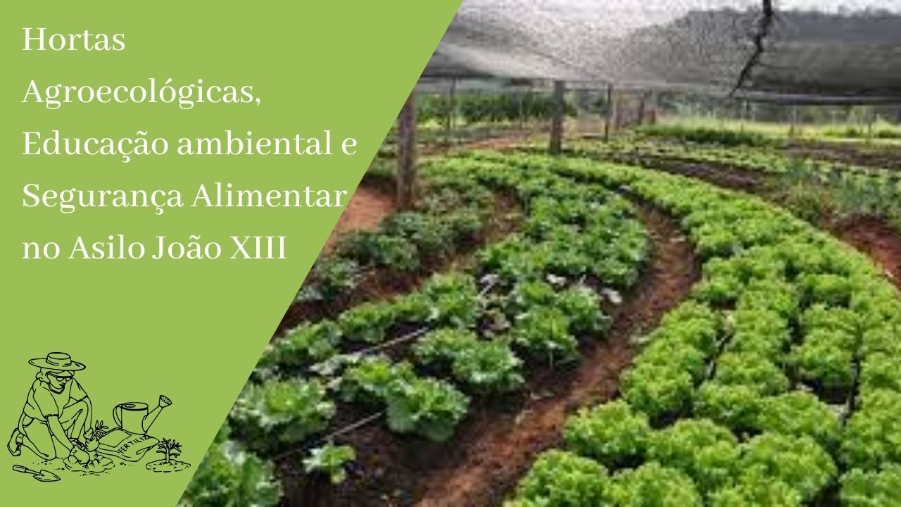 Hortas Agroecológicas, Educação ambiental e Segurança Alimentar no Asilo João XXIII