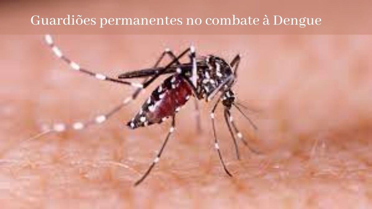 Guardiões permanentes no combate à Dengue