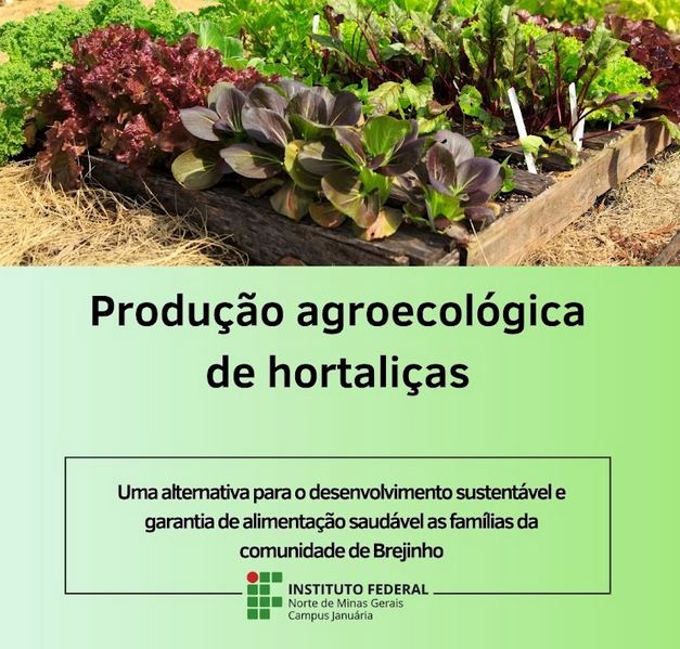 Produção agroecológica de hortaliças: uma alternativa para o desenvolvimento sustentável e alimentação saudável às famílias da Comunidade de Brejinho